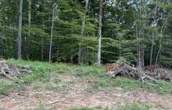 69 Hwy, Savannah, TN 38372