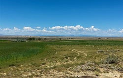 Cloud Peak Road, Byron, WY 82412