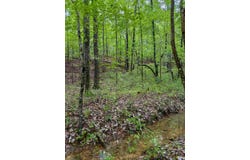 46.61+/- Acres County Road 51, Greensboro, AL 36744