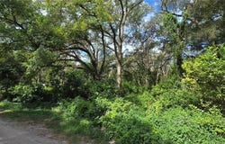 15621 DAYBREEZE Drive, SPRING HILL, FL 34610