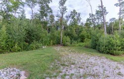 Whipples Way lot: 7, Tamworth, NH 03817