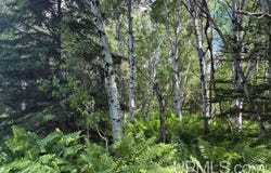 Parcel C Bellaire Road, Baraga, MI 49908