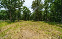 Antioch Road, Cave City, AR 72521