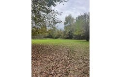 10000 Teachout RD, Onsted, MI 49265