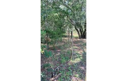 BOWMAN Road, SPRING HILL, FL 34610