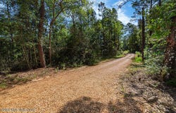 27265 Mississippi 603, Perkinston, MS 39573