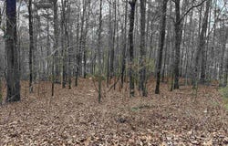 0.62 Riddles Bend Road, Rainbow City, AL 35906