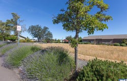 Eureka Way lot: 7, Sequim, WA 98382-0000