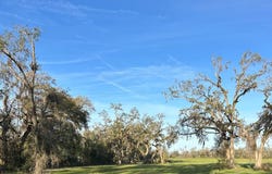 County Road 53, Mayo, FL 32066