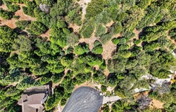 372 Redtail Hawk Lane, Lake Arrowhead, CA 92352