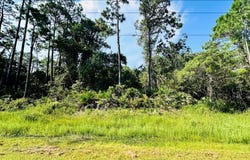 265 Twin Lakes Rd lot: 16, Eastpoint, FL 32328