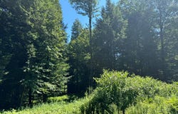 15 Carleton Pnd Rd, Camden, NY 13316