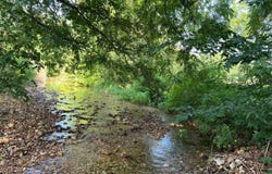1067 Farm Road 2170, Exeter, MO 65647
