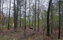 4802 E 96th Street, Newaygo, MI 49337