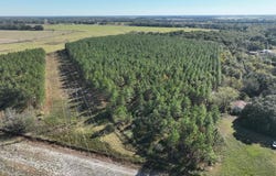 2716 Fryer Rd, Blakely, GA 39823
