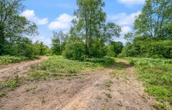 Seneca Place, Cadillac, MI 49601