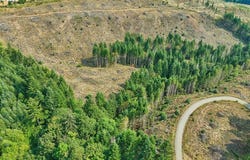 NW John Lee Rd, Buxton, OR 97109