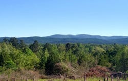 4242 Old Boles Rd, Boles, AR 72926