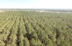 Corrigan Road, Vidor, TX 77662