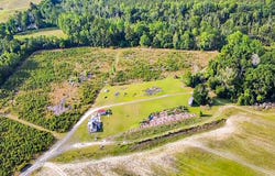 0-B Mt Carmel Road, Walterboro, SC 29488