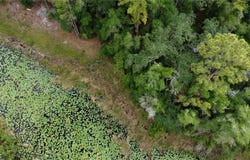 7176 Norway Street, Webster, FL 33597