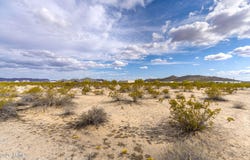 N ROYCE Road, Queen Creek, AZ 85144