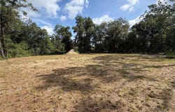 IDLEWOOD Drive, WEBSTER, FL 33597