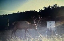 7 SD 52300, Rocksprings, TX 78880