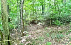 Savannah Drive lot: 17, West Jefferson, NC 28694