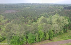 Campbell Creek Road, Mendenhall, MS 39114