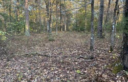 9999 easement Road, Cove, AR 71937
