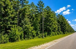 W Oak Street lot: 000, Amite, LA 70422