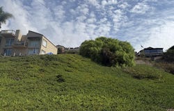 Alessandro, Ventura, CA 93001