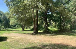 500 Connell Ferry Road, Joaquin, TX 75954
