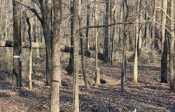 Highway 336 E, Clinton, AR 72031