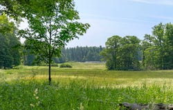 77 Beaver Dam Road, Salisbury, CT 06068
