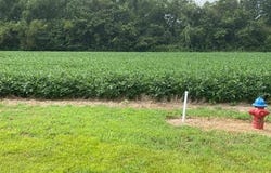 Timber Creek Rd., Dexter, MO 63841
