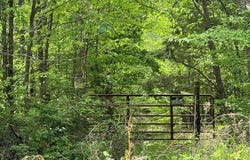 637 Hargis Rd, BUMPUS MILLS, TN 37028