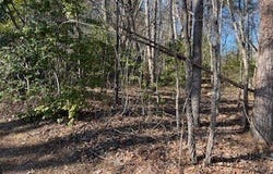 The Woodlands lot: 2E, HAYESVILLE, NC 28904