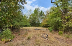 Ferguson Road, Harleton, TX 75651