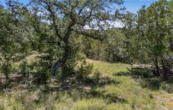 600 Lorne Road lot: 1, Canyon Lake, TX 78133