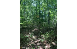 N Woods Point, Sky Valley, GA 30537