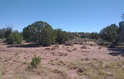 4253 Indian Bend Road, Snowflake, AZ 85937