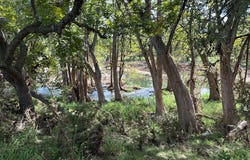 129 Russo Ln, Hunt, TX 78024