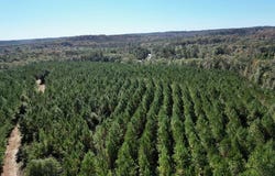 584 HWY 82, EUFAULA, AL 36027