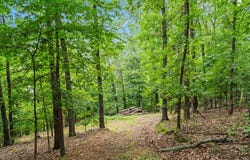 Wildlife Trail, Branson, MO 65616