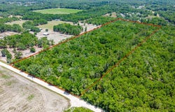 NW 40th Ave, Bell, FL 32619