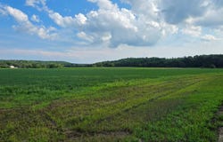 21 County Road, Mazeppa, MN 55956