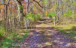 Seebert Road, Hillsboro, WV 24946