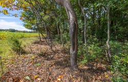 Dave Miller Road, Mayfield, KY 42066